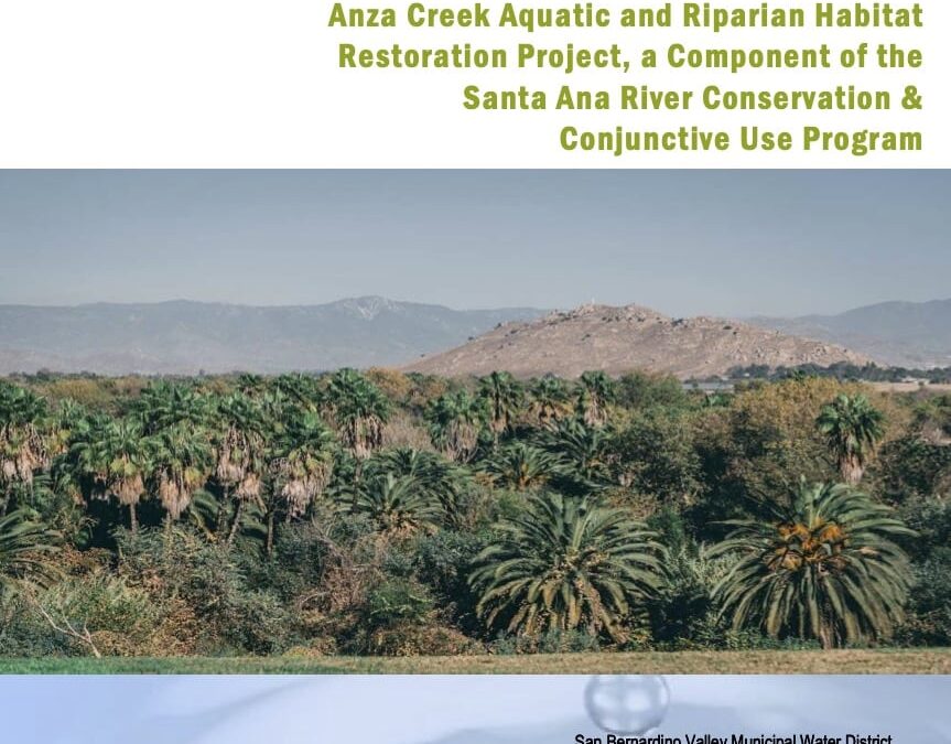 Anza Creek Aquatic and Riparian Habitat Restoration Project, a Component of the Santa Ana River Conservation and Conjunctive Use Program