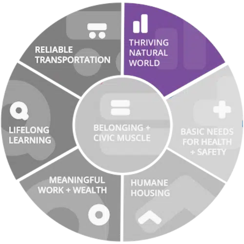 ThrivingNaturalWorld_wheel Graphic of the vital conditions wheel in grey with one wedge colored in purple. The colored in wedge is Basic needs for health and safety